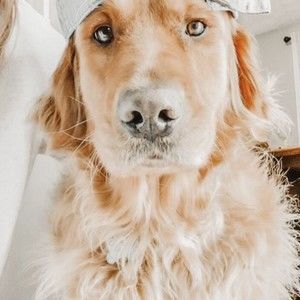 Meet your Posher, Love861223